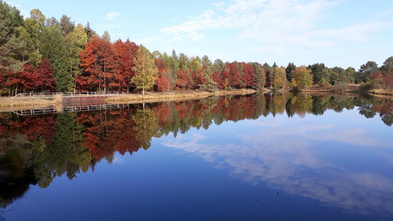 Naturhotel Hof Ehlers แบร์เกน ภายนอก รูปภาพ